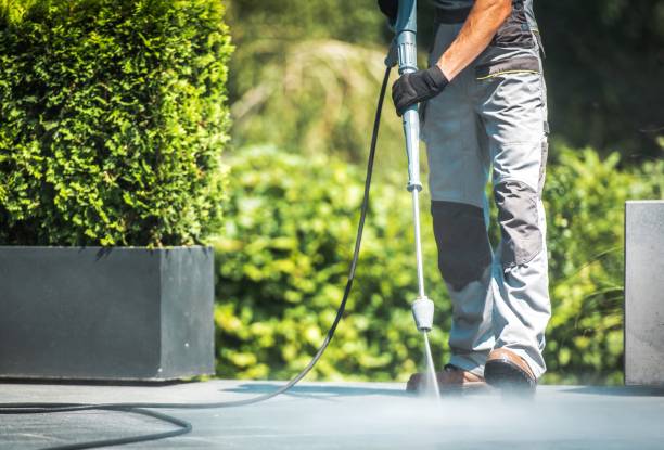 Best Driveway Pressure Washing  in Ormond By The Sea, FL