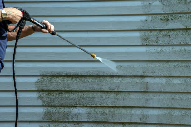 Animal Enclosure Cleaning in Ormond By The Sea, FL